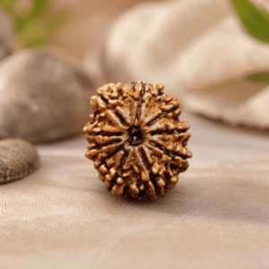 10 MUKHI CERTIFIED NEPALI RUDRAKSHA For Protection & Peace of mind